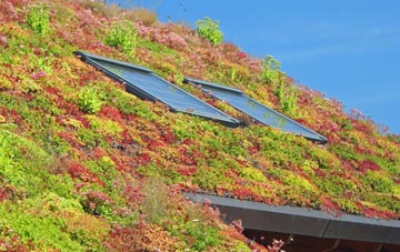 Loweswater living roof systems